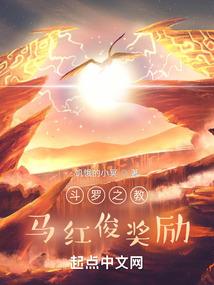 流星滑落的岁月